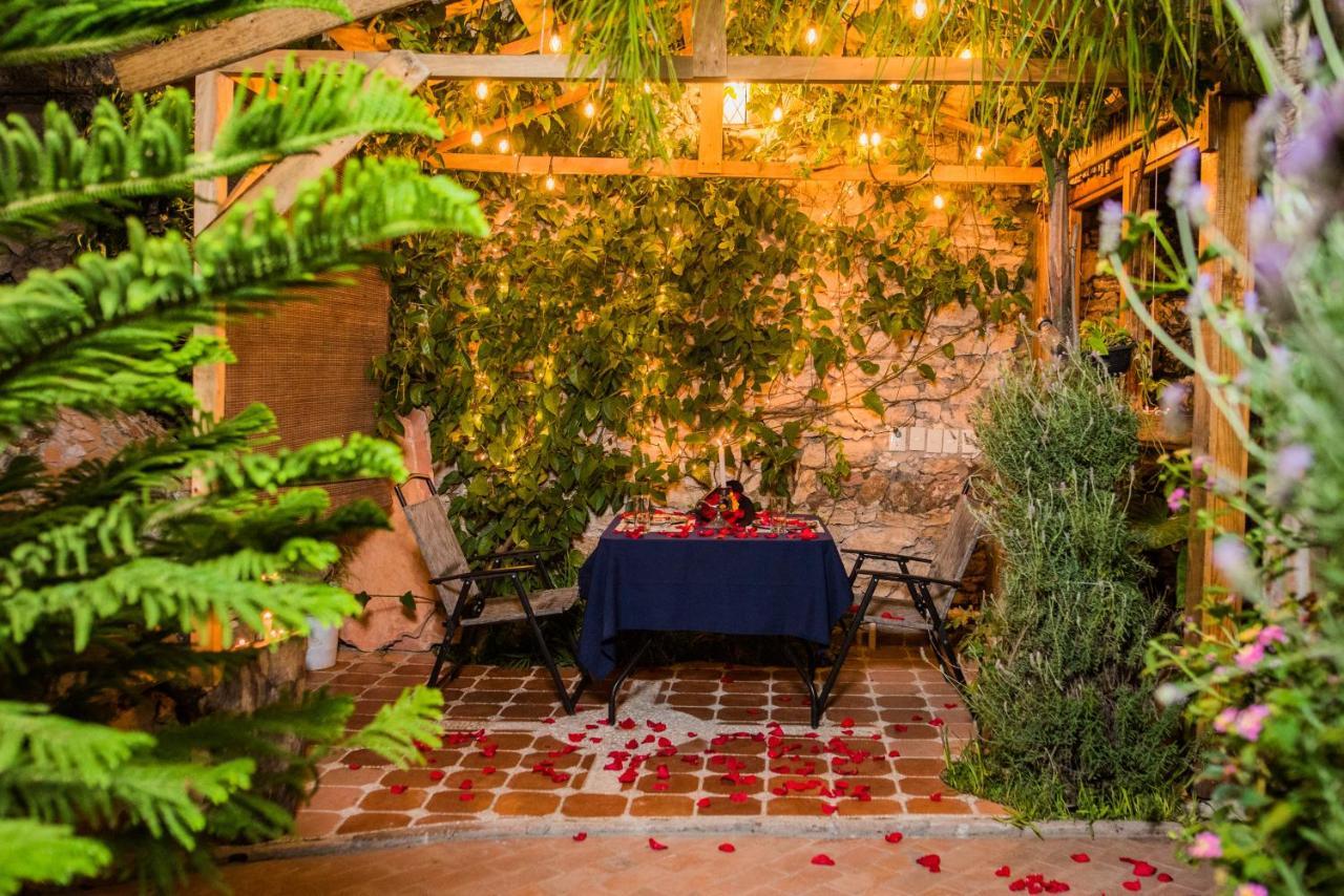 Hotel Colibri Pozos  Ngoại thất bức ảnh